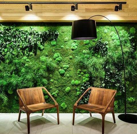 Фитостены, стабилизированный мох